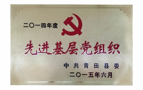 资质声誉-尊龙凯时,电子式电能,智能电能表,智能开关,智能AMI系统,物联网解决计划,官方网站
