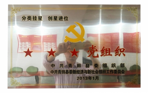 资质声誉-尊龙凯时,电子式电能,智能电能表,智能开关,智能AMI系统,物联网解决计划,官方网站