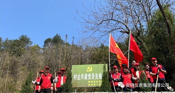 党建强引领，，，，，共植先锋林